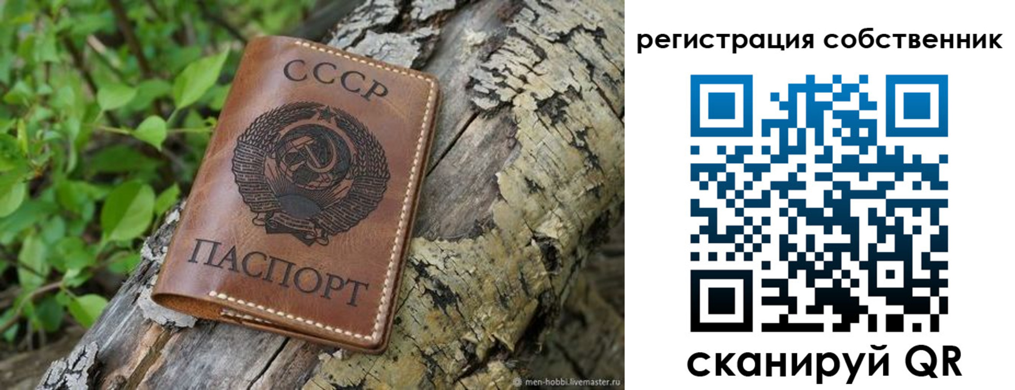 временная регистрация госуслуги в Заинске